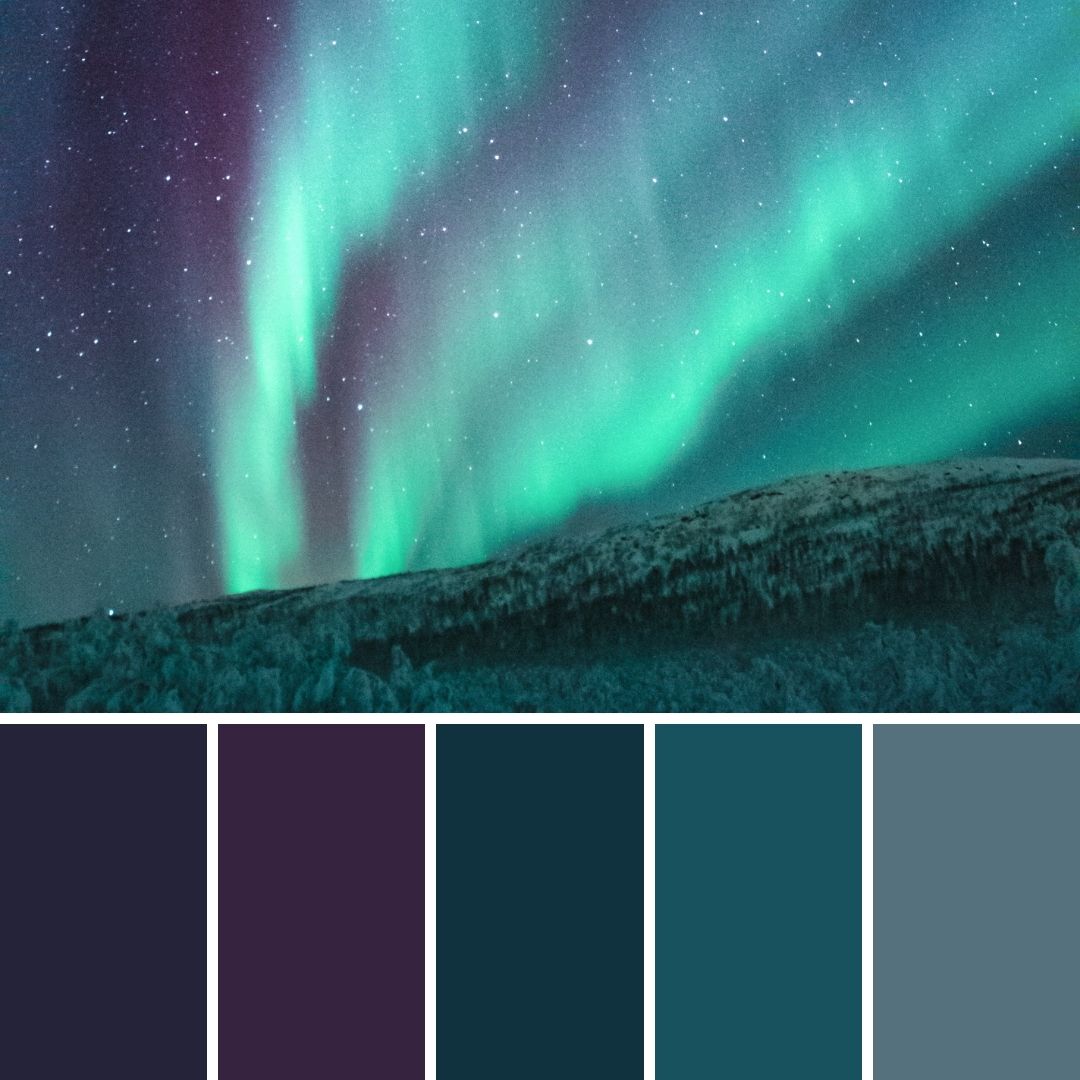 14 Winter Brand Colour Palettes for Inspiration - Mean Creative